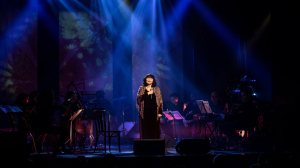 oświetlenie koncertów